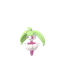 Dynamax Steenee (grass)