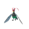 Unfezant (normal, flying)