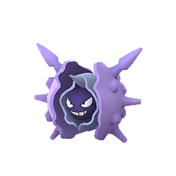 Cloyster