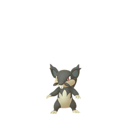 Alolan Rattata