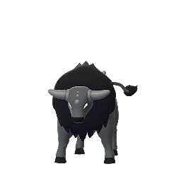 Paldean Tauros (Combat)